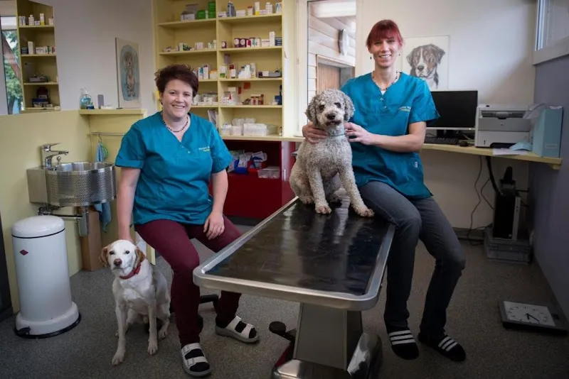 Sumiswald Tierärzte AG — Tierarzt in Sumiswald, Bern. Bewertung 4.8/5.