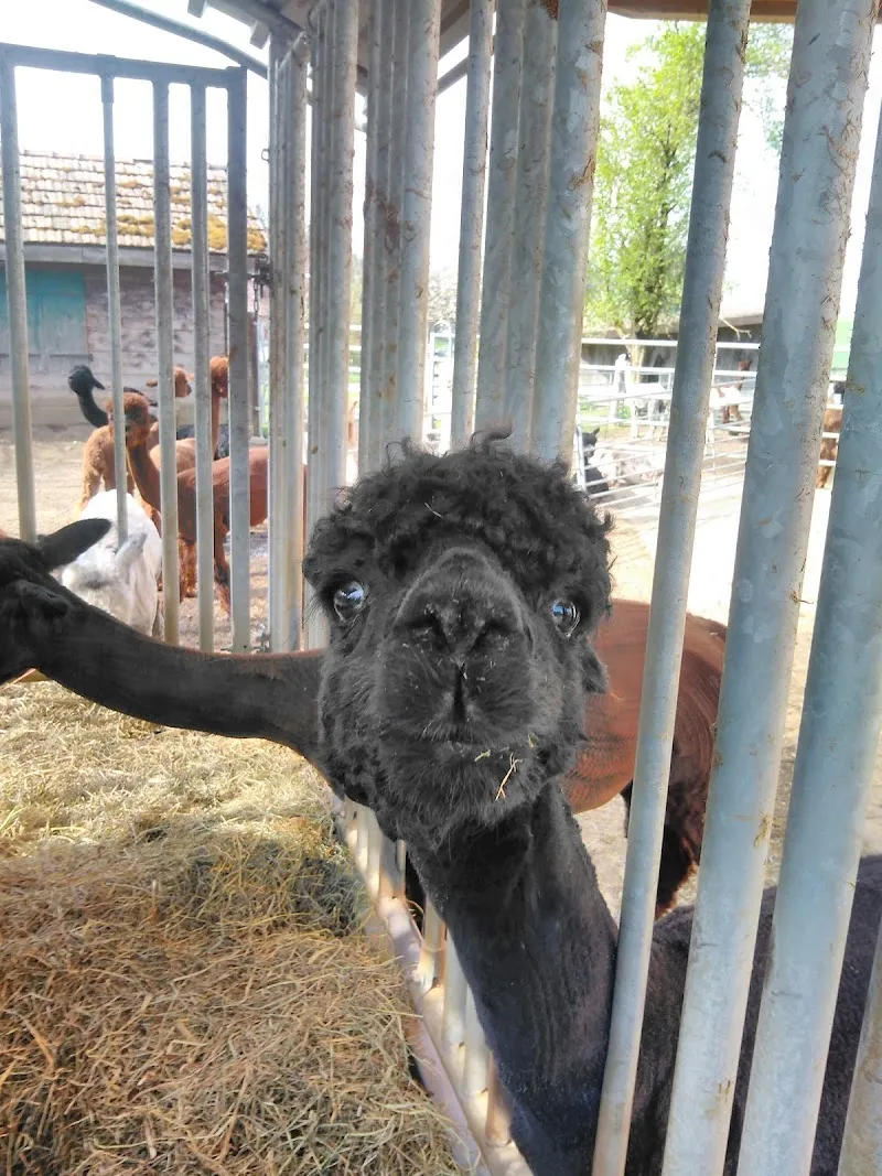 Sumiswald Tierärzte AG — Tierarzt, Sumiswald, Bern. Foto 2