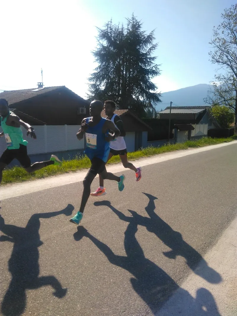 Sumiswald Tierärzte AG — Tierarzt, Sumiswald, Bern. Foto 3