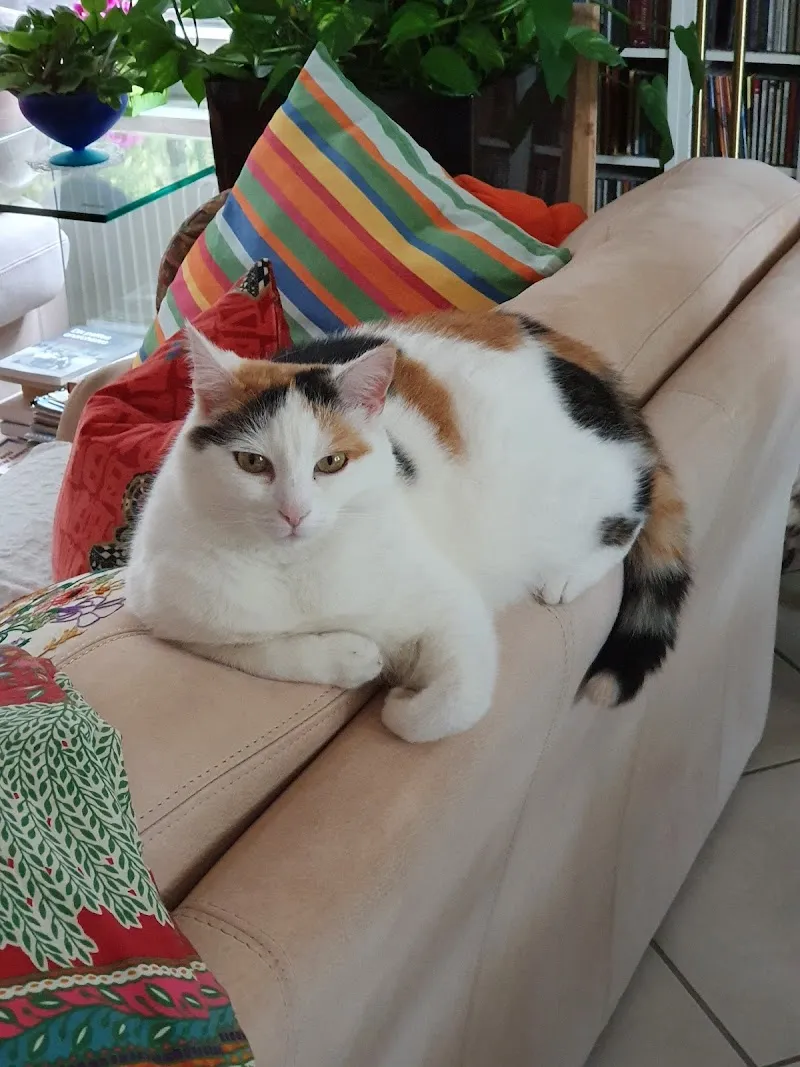 Sylvie Lüdi — Tierarzt in Tavannes, Bern. Bewertung 4.7/5.