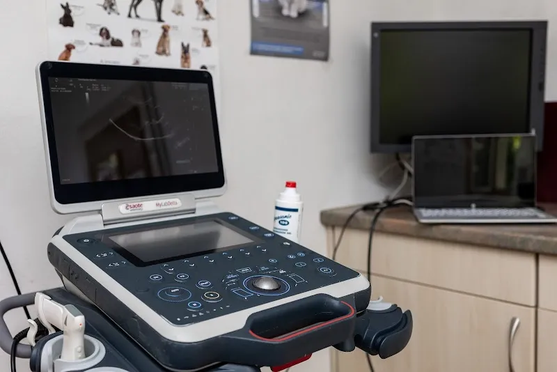 Tierarztpraxis BeoVet AG — Tierarzt, Matten b. Interlaken, Bern. Foto 3