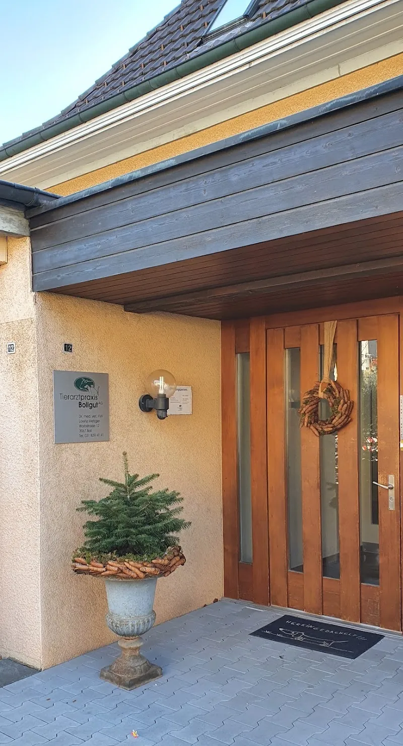 Tierarztpraxis Bollgut AG — Tierarzt in Boll, Bern. Bewertung 4.7/5.