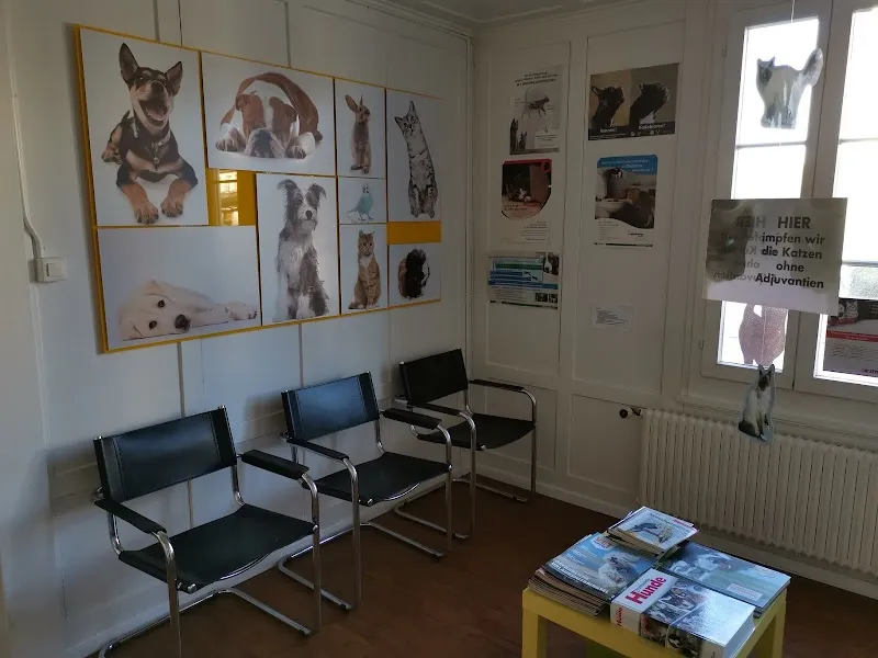 Tierarztpraxis Dr. Martina Ruchti — Veterinarian, Hindelbank, Bern. Foto 2