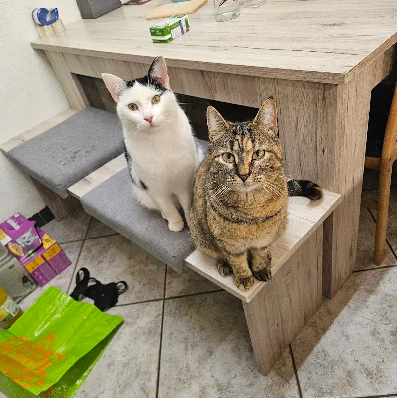 Tierarztpraxis Heggidorn AG — Tierarzt in Frauenkappelen, Bern. Bewertung 4.9/5.