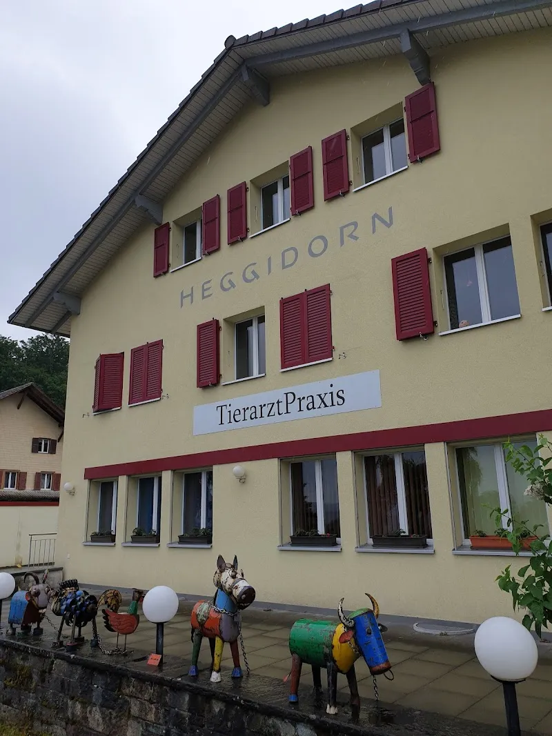 Tierarztpraxis Heggidorn AG — Veterinarian, Frauenkappelen, Bern. Foto 2