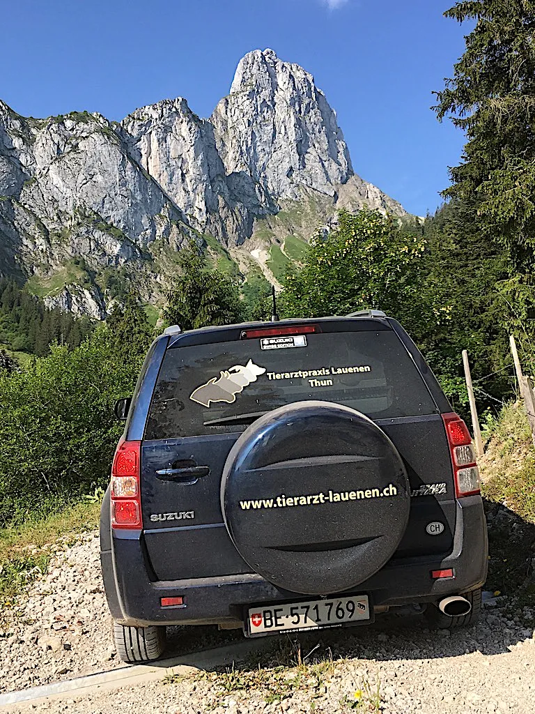 Tierarztpraxis Lauenen — Tierarzt, Thun, Bern. Foto 2