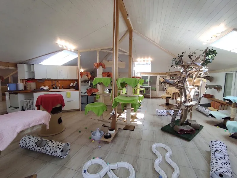 Katzenpension Hegi Fulenbach — Katzenpension in Fulenbach, Solothurn. Bewertung 4.9/5.