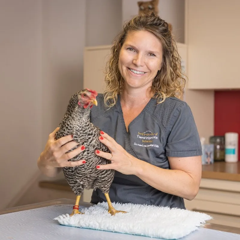 Tierarztpraxis Scherliau — Tierarzt in Niederscherli, Bern. Bewertung 4.7/5.