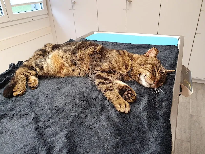 Tierarztpraxis Schönenboden AG — Tierarzt in Grosshöchstetten, Bern. Bewertung 4.7/5.