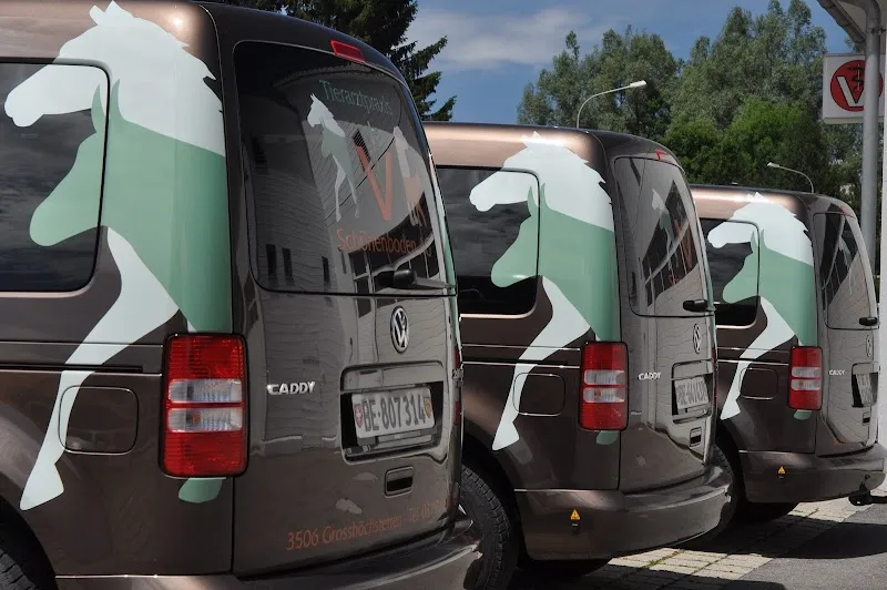 Tierarztpraxis Schönenboden AG — Tierarzt, Grosshöchstetten, Bern. Foto 2