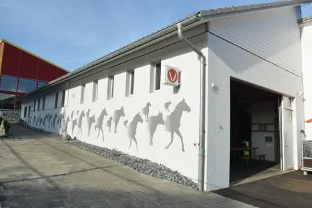 Tierarztpraxis Schönenboden AG — Tierarzt, Grosshöchstetten, Bern. Foto 3