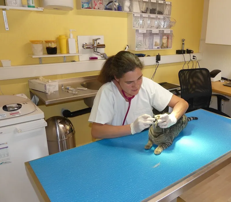 Tierarztpraxis Weber — Tierarzt, Büetigen, Bern. Foto 2