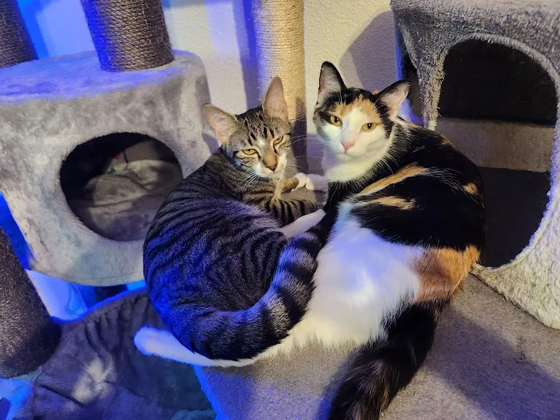 Tierarztpraxis am Kanal — Vétérinaire, Biel, Berne. Foto 2