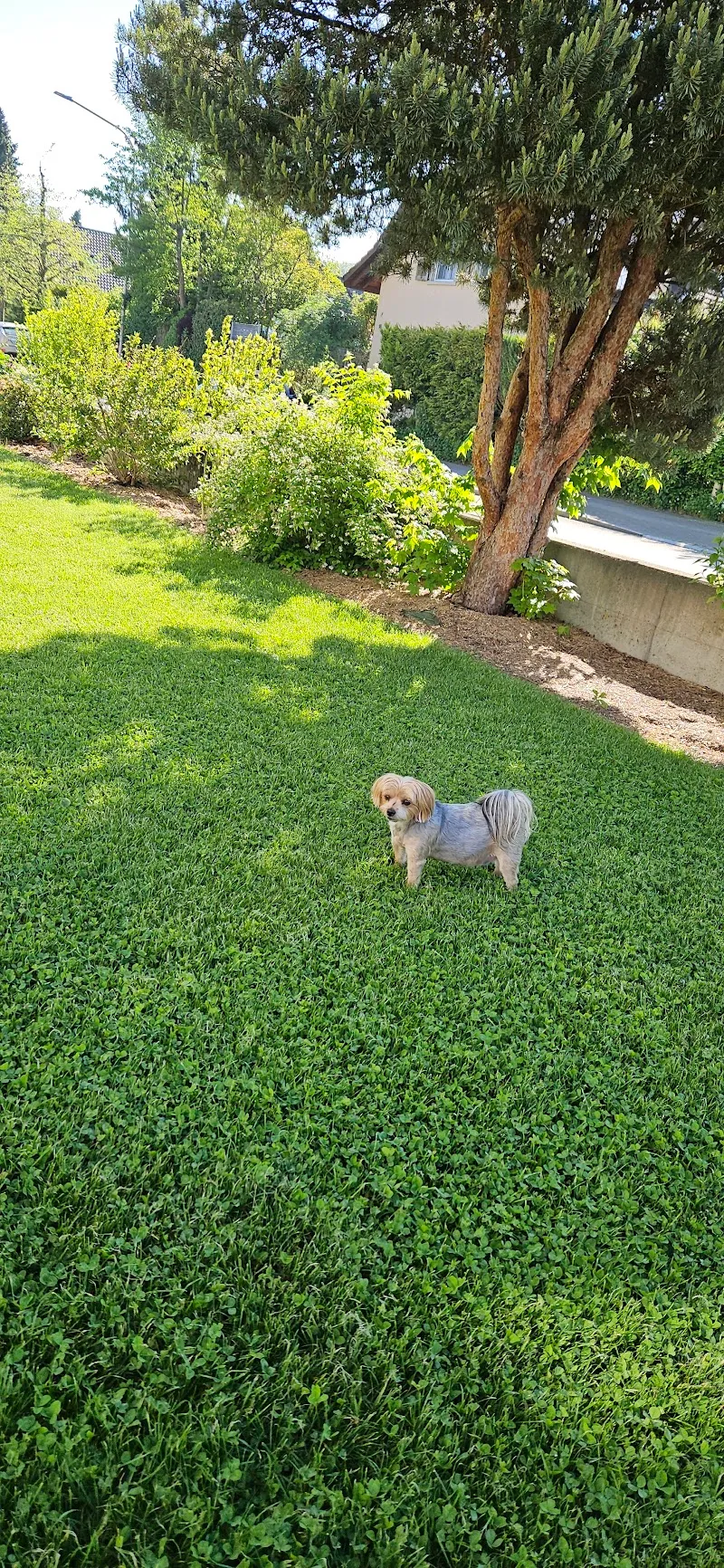 Tierarztpraxis buchsi-vet AG — Tierarzt in Herzogenbuchsee, Bern. Bewertung 4.7/5.