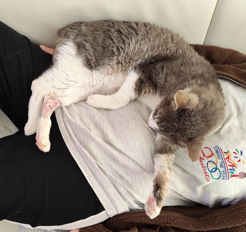 Tierarztpraxis buchsi-vet AG — Veterinarian, Herzogenbuchsee, Bern. Foto 3