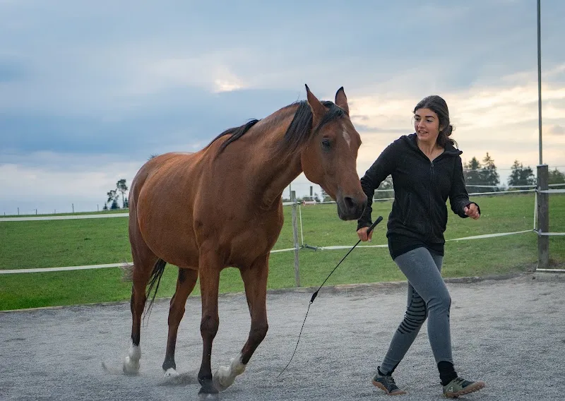 Tiergesundheitszentrum Bern — Tierarzt in Bern, Bern. Bewertung 4.3/5.