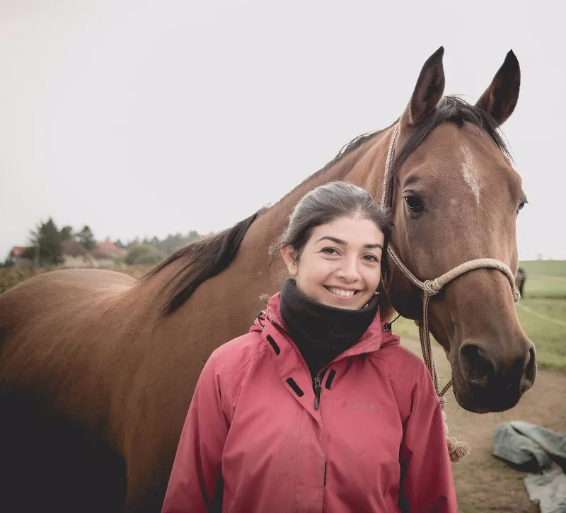 Tiergesundheitszentrum Bern — Vétérinaire, Bern, Berne. Foto 3