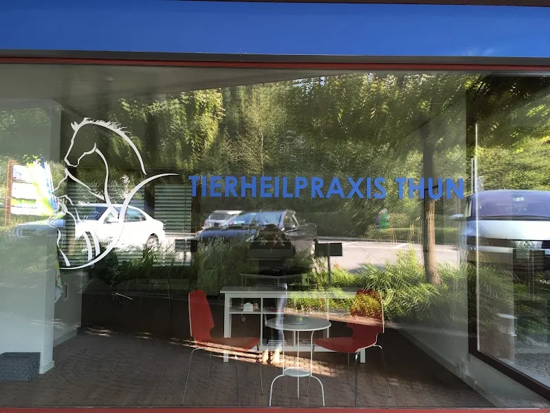 Tierheilpraxis Thun — Tierarzt, Thun, Bern. Foto 2