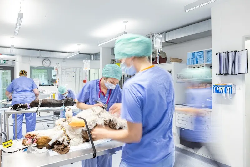 Tierklinik Aarau West AG — Vétérinaire, Oberentfelden, Argovie. Foto 3