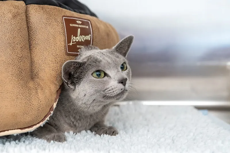 Tierklinik Curavet AG — Veterinarian, Burgdorf, Bern. Foto 2