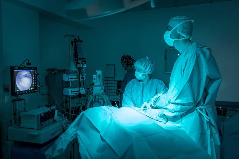 Tierklinik Curavet AG — Veterinarian, Burgdorf, Bern. Foto 3