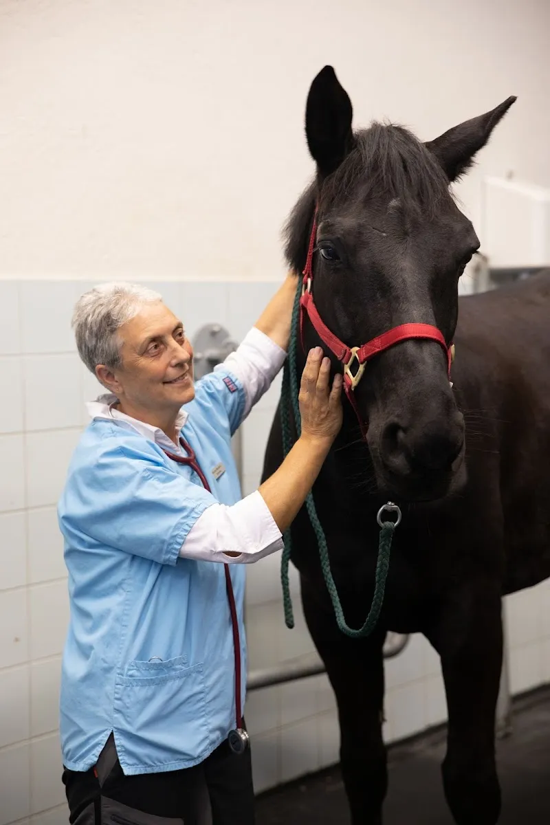 Tierklinik Leimental — Tierarzt in Biel-Benken, Basel-Landschaft. Bewertung 4.7/5.