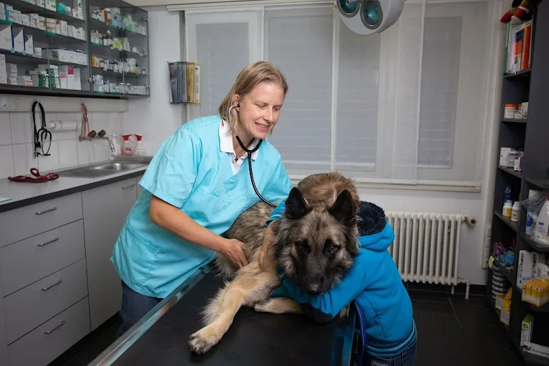 Tierklinik Leimental — Vétérinaire, Biel-Benken, Bâle-Campagne. Foto 3