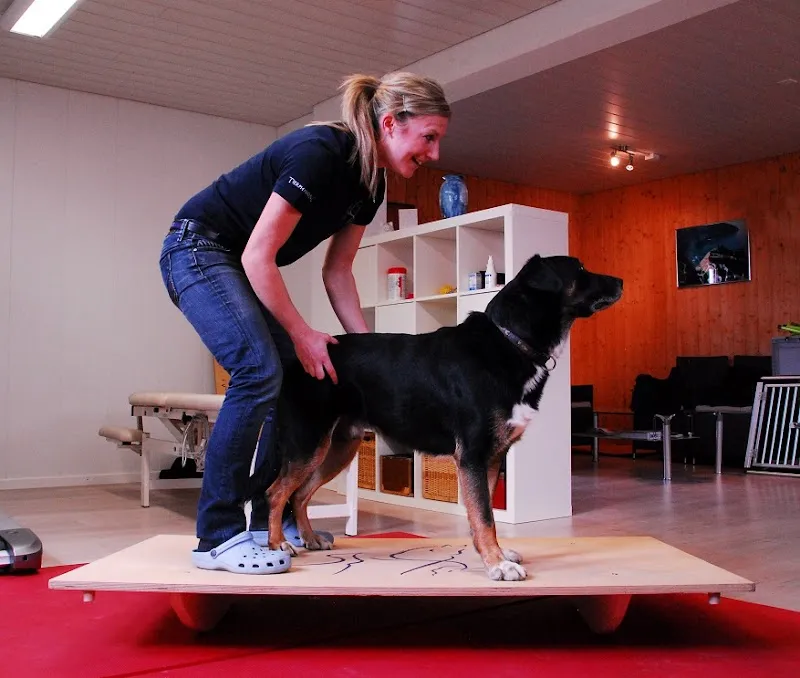 Tierphysio ND — Tierdienst, Ittigen, Bern. Foto 2
