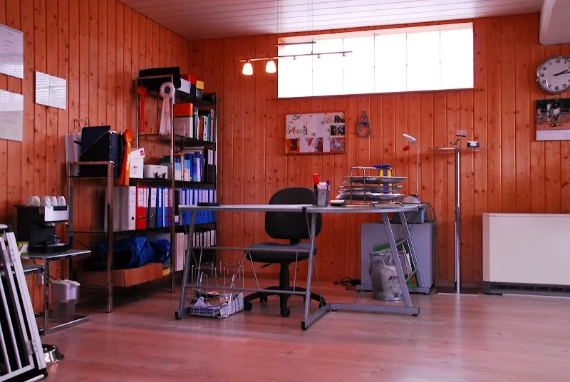 Tierphysio ND — Tierdienst, Ittigen, Bern. Foto 3