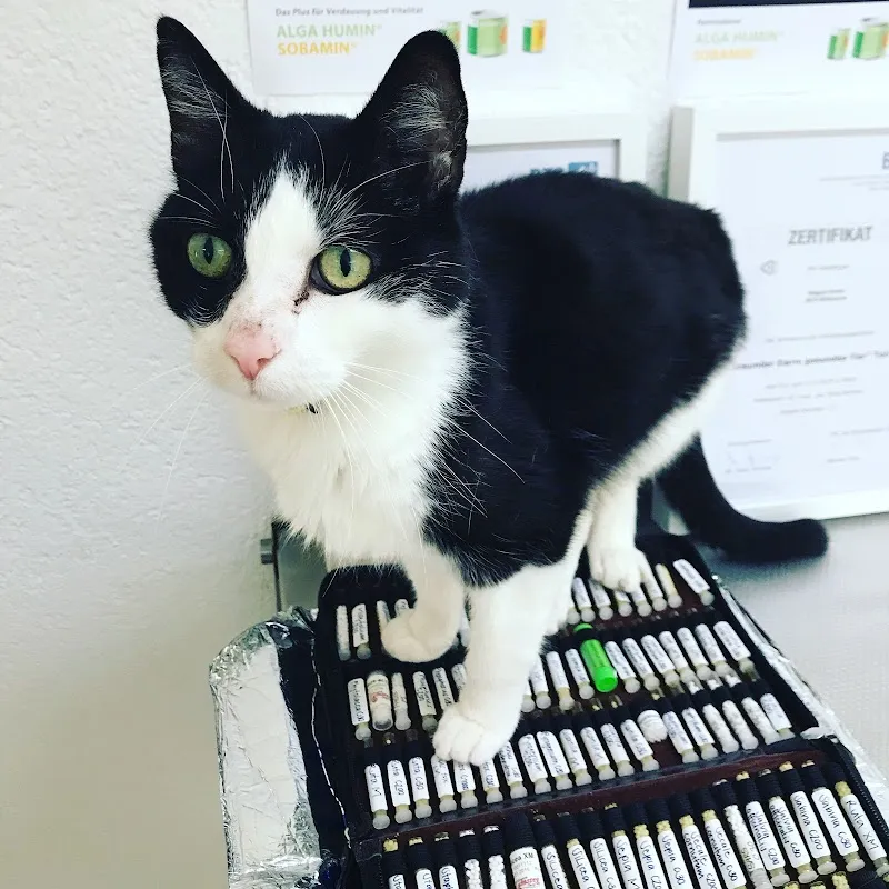 Tierpraxis Animalcurare — Tierdienst, Worb, Bern. Foto 2