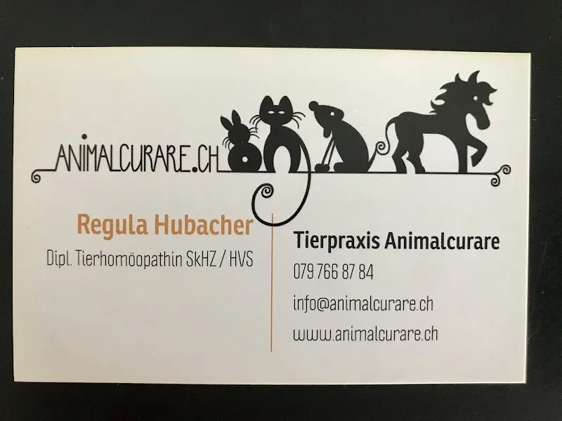 Tierpraxis Animalcurare — Tierdienst, Worb, Bern. Foto 3