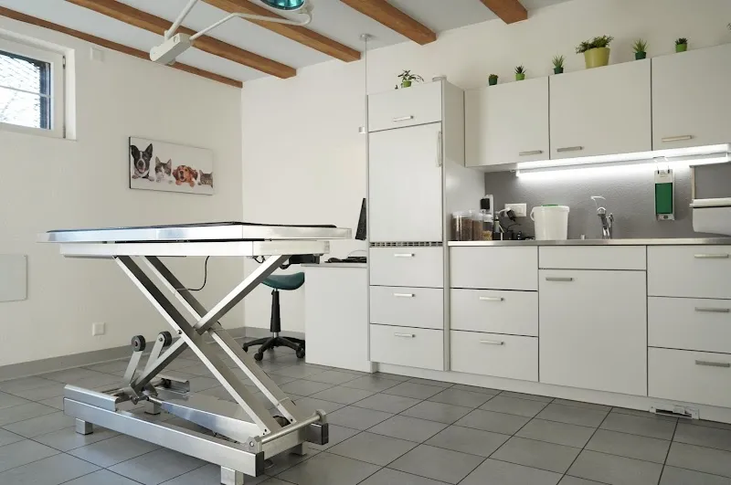 Tierpraxis Senn GmbH — Tierarzt, Kerzers, Freiburg. Foto 2