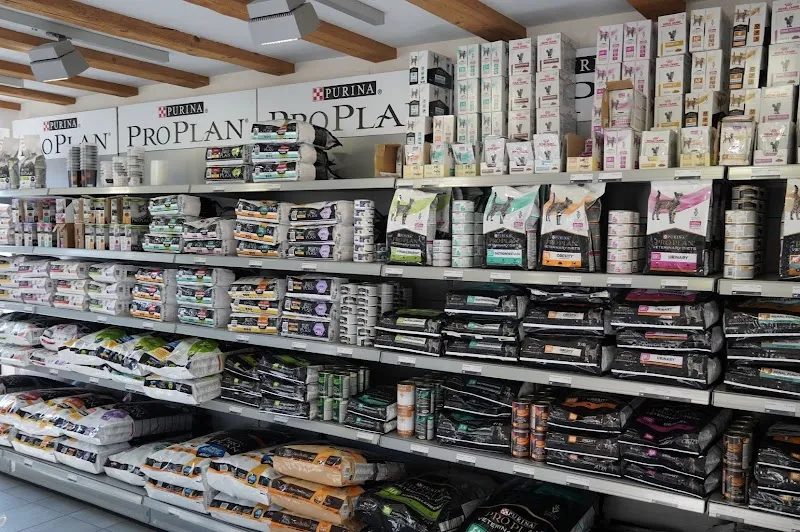 Tierpraxis Senn GmbH — Tierarzt, Kerzers, Freiburg. Foto 3