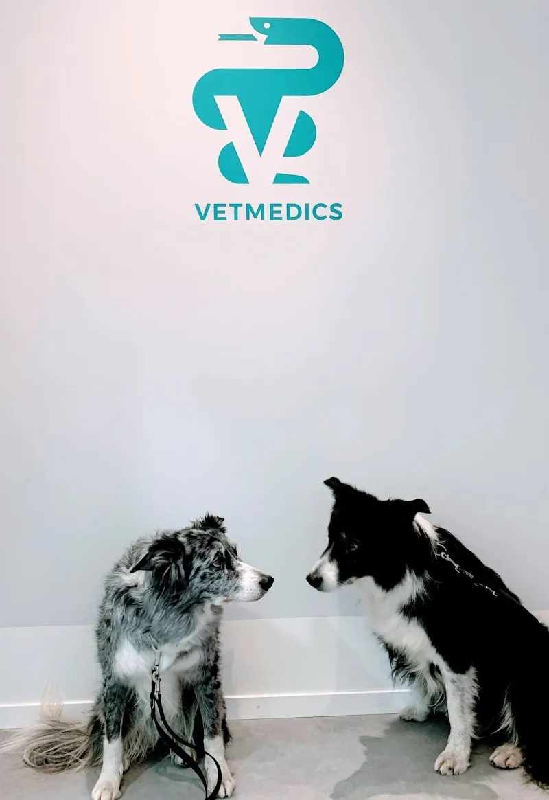VETMEDICS Praxis Dr.Schediwy GmbH — Tierarzt in Muri bei Bern, Bern. Bewertung 4.8/5.