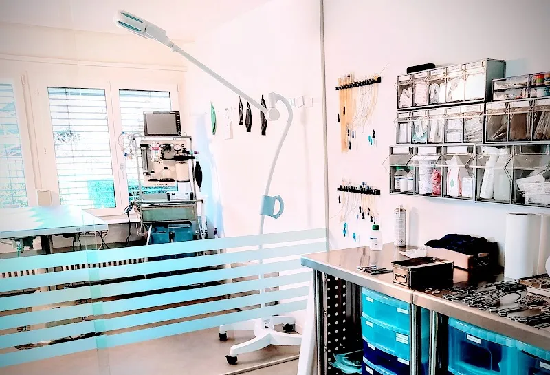 VETMEDICS Praxis Dr.Schediwy GmbH — Vétérinaire, Muri bei Bern, Berne. Foto 2