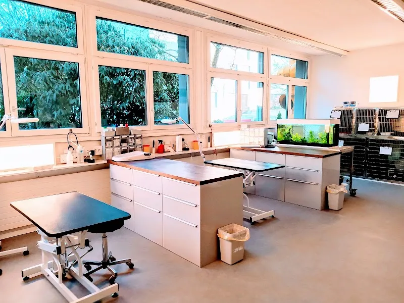 VETMEDICS Praxis Dr.Schediwy GmbH — Vétérinaire, Muri bei Bern, Berne. Foto 3