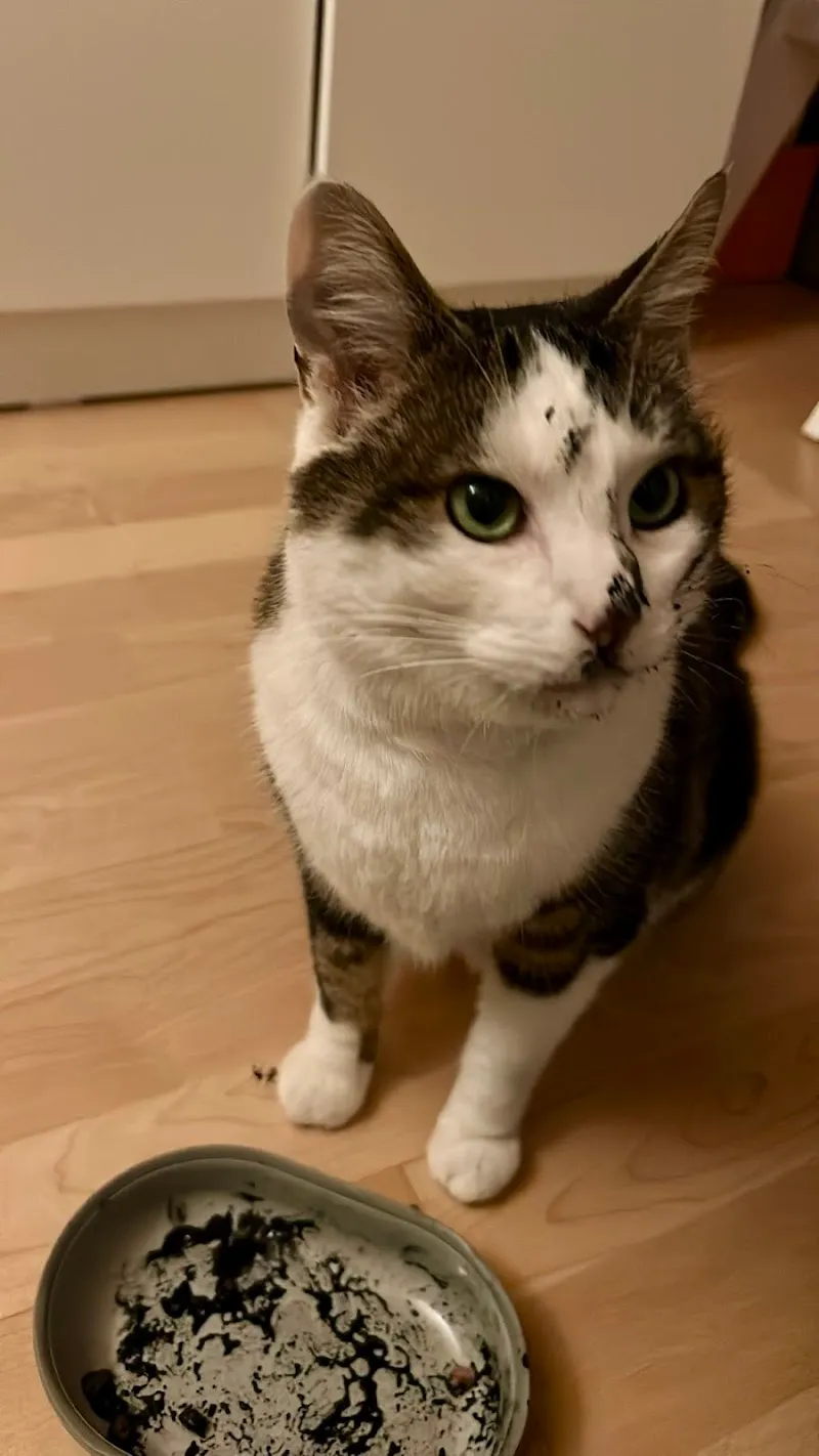 VETcetera AG — Vétérinaire, Köniz, Berne. Foto 3