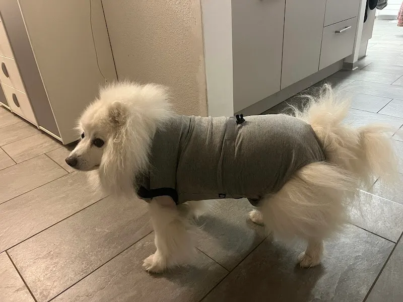 Vet Bern — Tierarzt in Herrenschwanden, Bern. Bewertung 5.0/5.