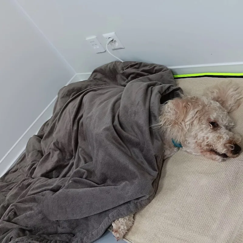 Vet Bern — Vétérinaire, Herrenschwanden, Berne. Foto 2