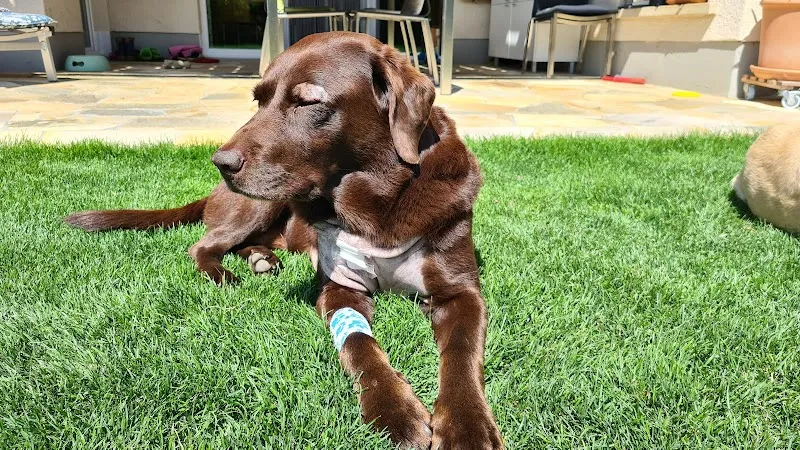 Vet Bern — Vétérinaire, Herrenschwanden, Berne. Foto 3