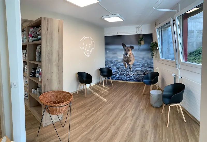 VetTrust Kleintierpraxis Gümligen — Tierarzt, Muri bei Bern, Bern. Foto 2