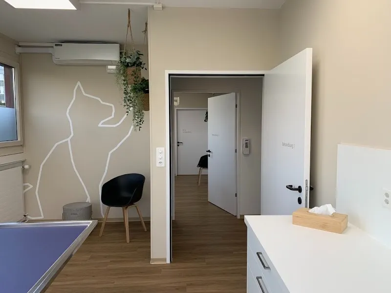 VetTrust Kleintierpraxis Gümligen — Tierarzt, Muri bei Bern, Bern. Foto 3