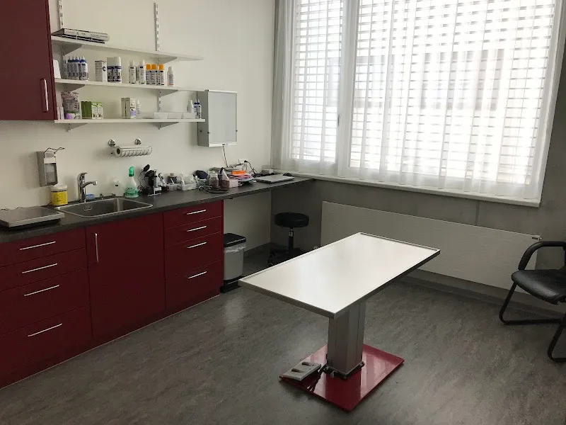 VetTrust Kleintierpraxis Muri — Tierarzt, Muri, Aargau. Foto 3