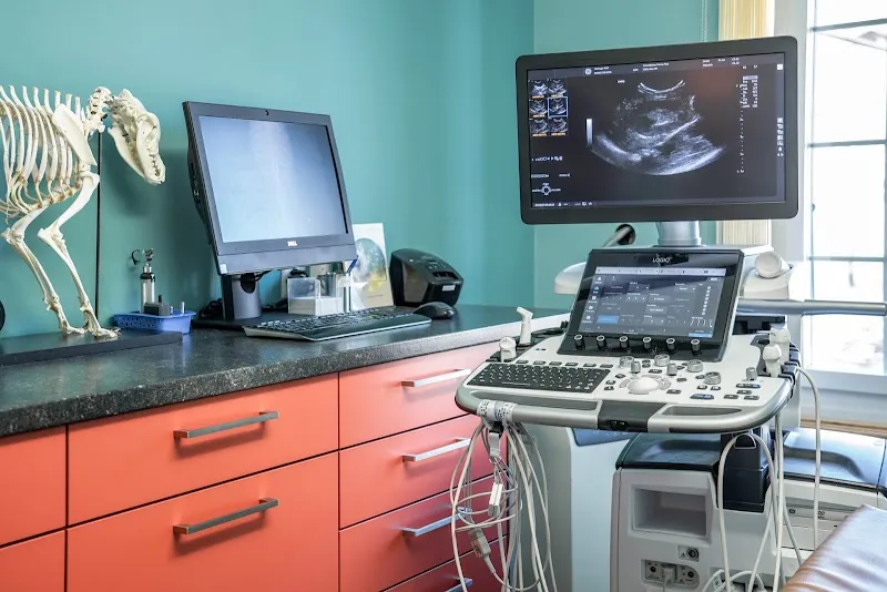 Vetimage 1815 GmbH — Tierarzt in Spiez, Bern. Bewertung 5.0/5.