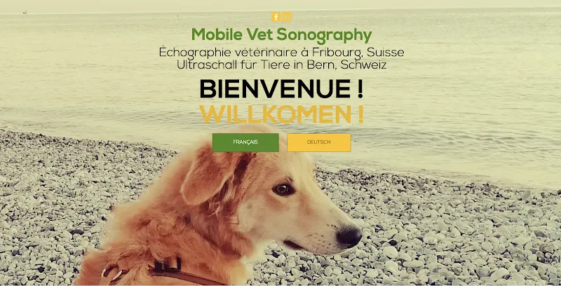 Échographie vétérinaire à Fribourg Suisse, Ultraschall für Tiere in Bern Schweiz | Mobile Vet Sonography | Natacha Wu — Tierarzt in Liebefeld, Bern. Bewertung 5.0/5.
