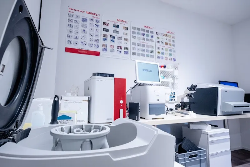 Animavet Moléson — Tierarzt, Bulle, Freiburg. Foto 3