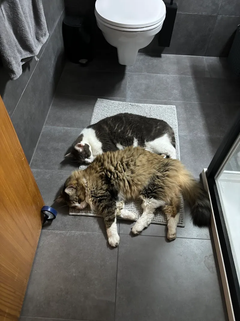 Cabinet Vétérinaire Entre de Bonnes Pattes — Tierarzt, La Roche, Freiburg. Foto 3