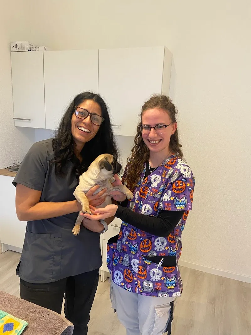 Cabinet Vétérinaire MobilVet — Tierarzt, Villars-sur-Glâne, Freiburg. Foto 2