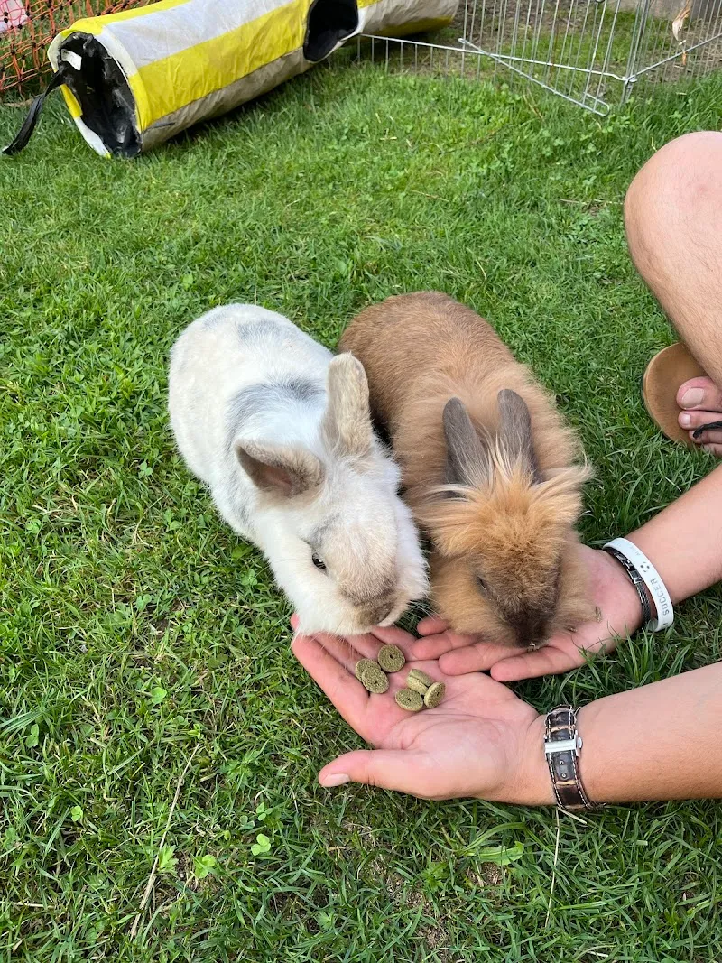 Cabinet Vétérinaire Vetmint Domdidier — Vétérinaire, Domdidier, Fribourg. Foto 3