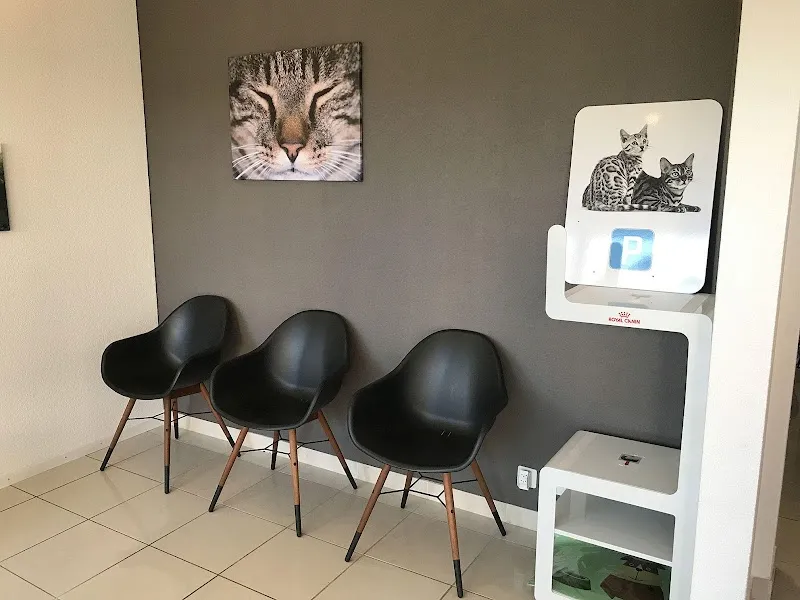 Cabinet vétérinaire Dupasquier Sàrl — Tierarzt, Givisiez, Freiburg. Foto 2